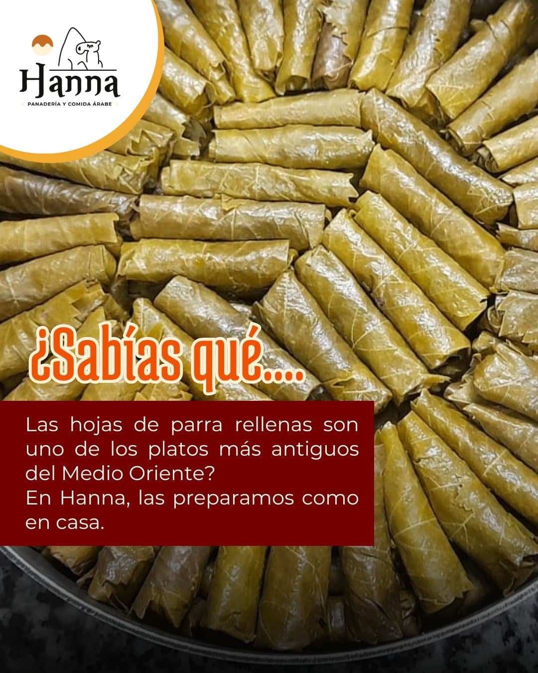 Hoja de Parra 2