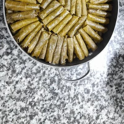 Hoja de Parra 2